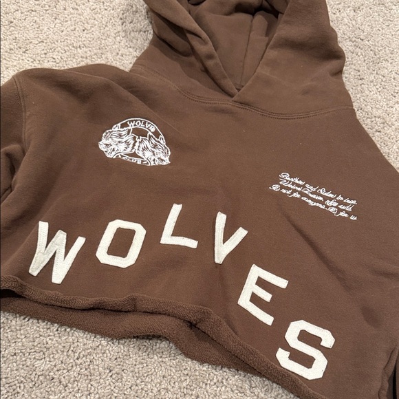 Darc Sport Brown Cropped Hoodie - Picture 2 of 3